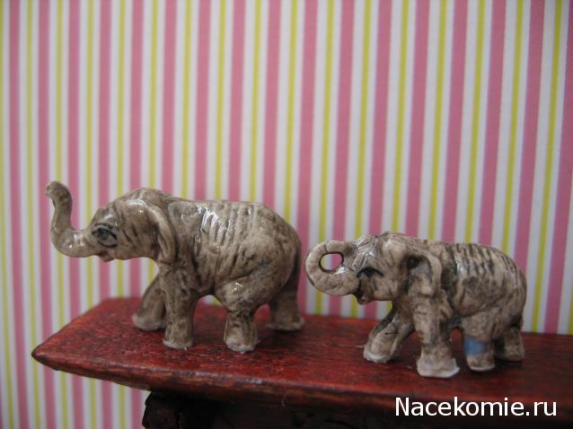 Galya: "My house is my castle"