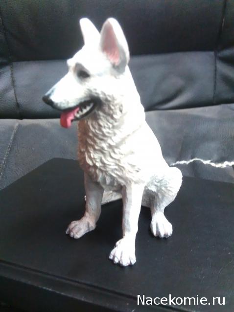 Танкодром (Общая Болталка танковых разделов)