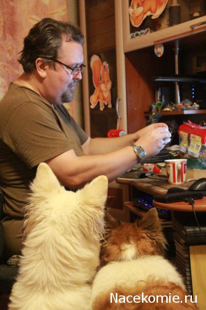 Танкодром (Общая Болталка танковых разделов)