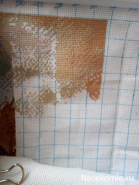 100 крестиков!