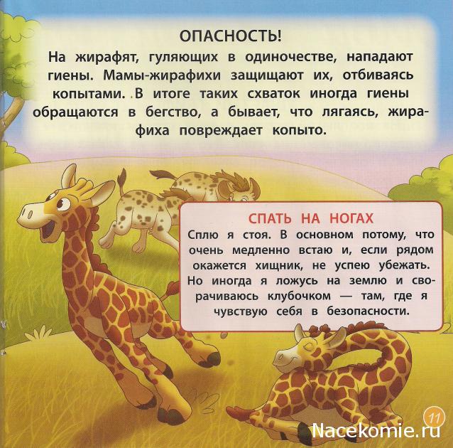 Животные Дикой Природы №2 - Самка Жирафа Ребекка и Детеныш Льва Бимбо