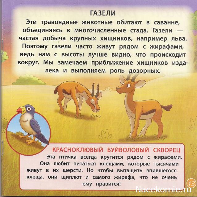 Животные Дикой Природы №2 - Самка Жирафа Ребекка и Детеныш Льва Бимбо