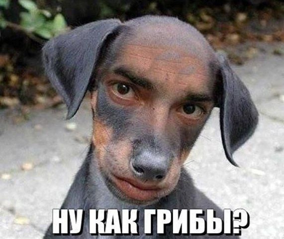 Тракторная болталка