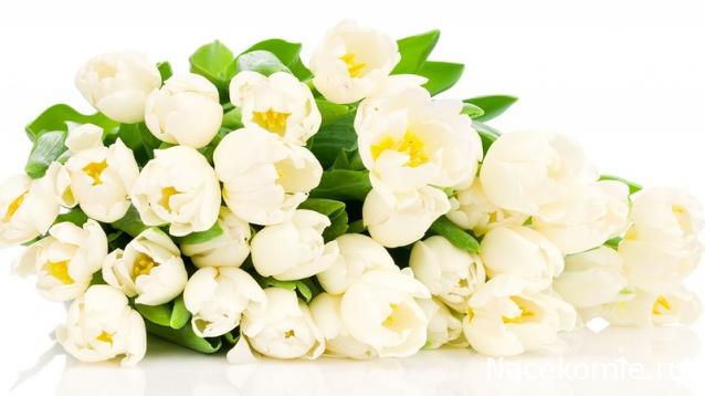 arenzodream - Как важно быть несерьезным... Много домиков хороших и разных...