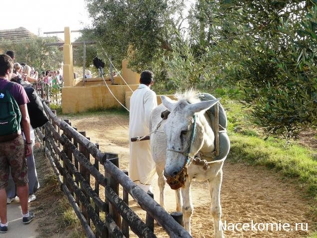 Мой любимый город или дорогие сердцу места
