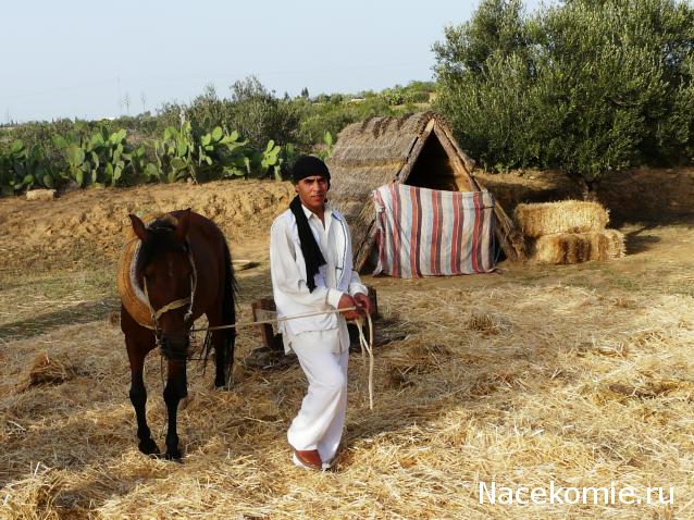 Мой любимый город или дорогие сердцу места