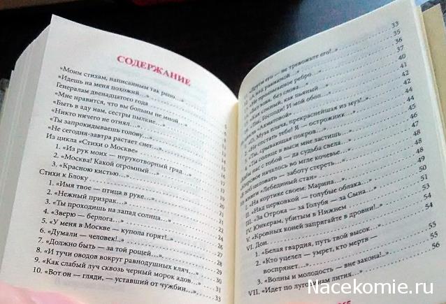 Шедевры Мировой Литературы в Миниатюре 2017