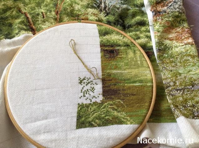 100 крестиков!