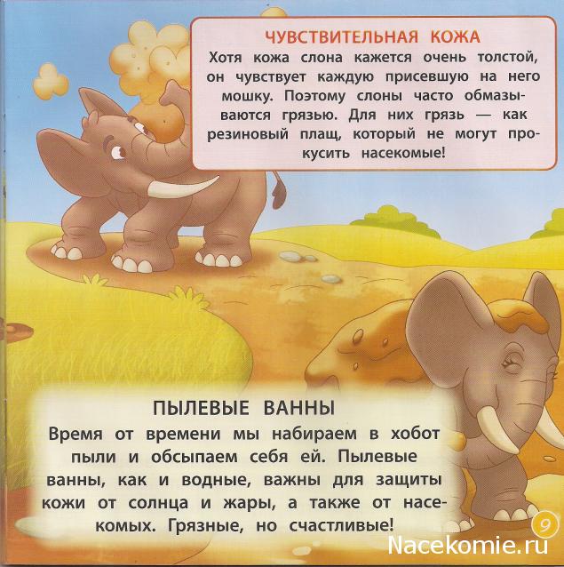 Животные Дикой Природы №3 - Слон Себастьян