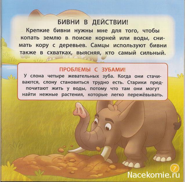 Животные Дикой Природы №3 - Слон Себастьян