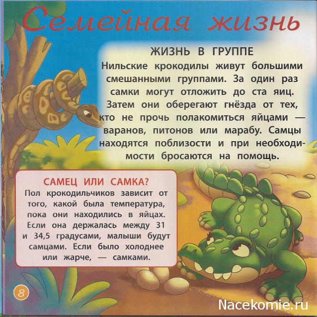 Животные Дикой Природы №5 - Нильский Крокодил Кроко и Детеныш Гориллы