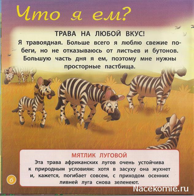 Животные Дикой Природы №6 - Самка Зебры Зоя и Львица Лайла