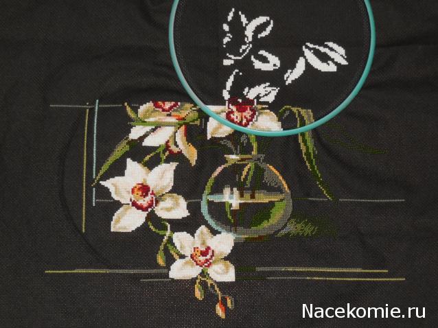 100 крестиков!