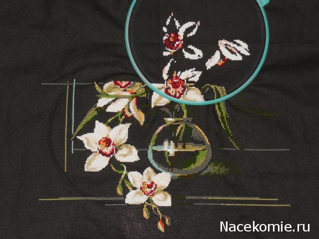 100 крестиков!