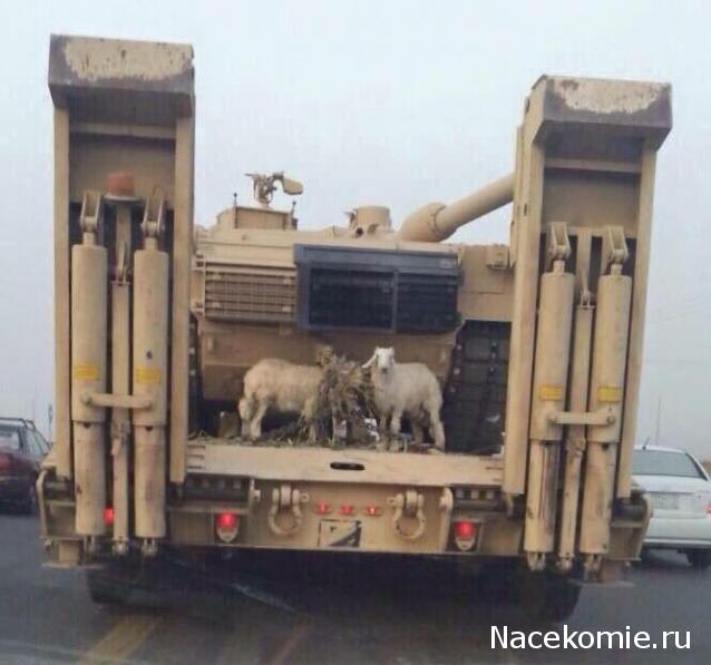 Танкодром (Общая Болталка танковых разделов)