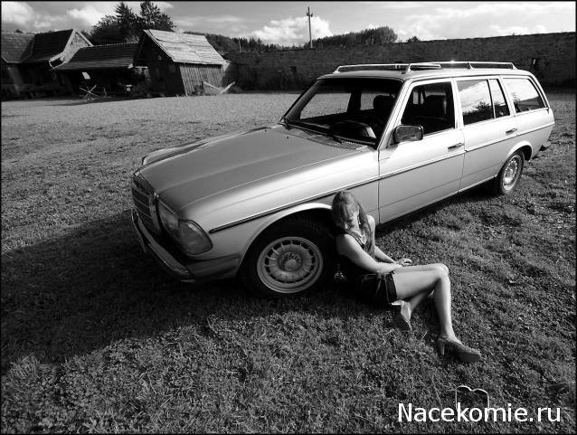 Автолегенды СССР - График выхода и обсуждение