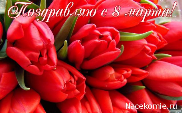 Праздник каждый день - поздравлялка Авторазделов