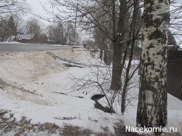 Margaritka. Гасиенда Каса де лос Суэньос