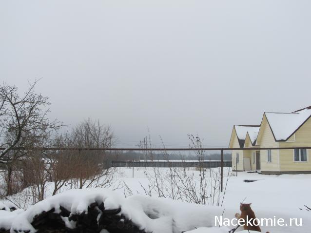 Margaritka. Гасиенда Каса де лос Суэньос