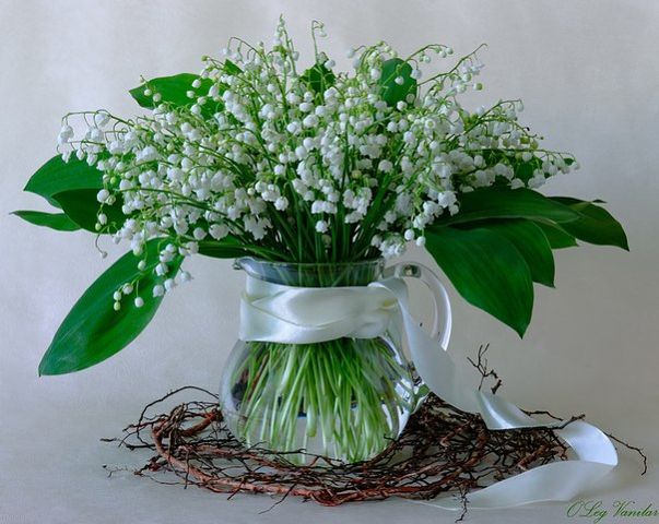 Наши Дни Рождения