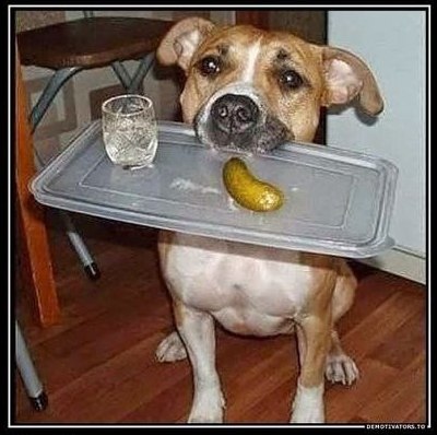 Праздник каждый день - поздравлялка Авторазделов