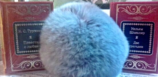 Шедевры Мировой Литературы в Миниатюре 2017