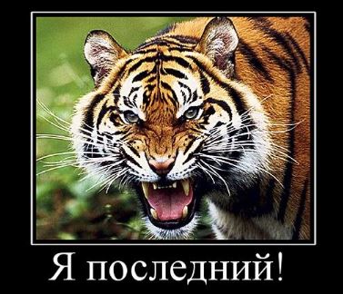 Наполеоновские Войны - Новая флудилка