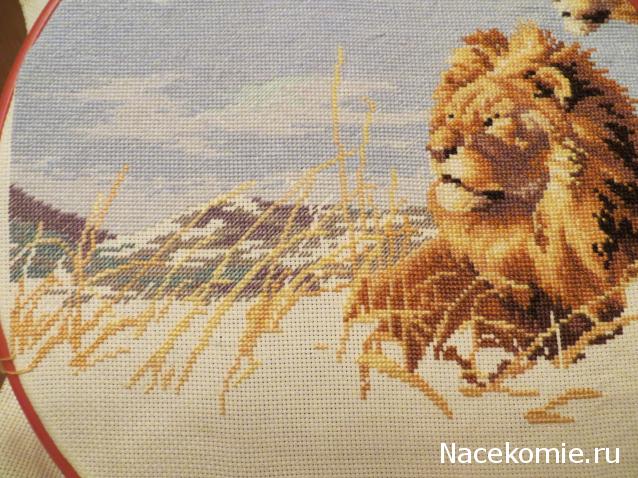 100 крестиков!