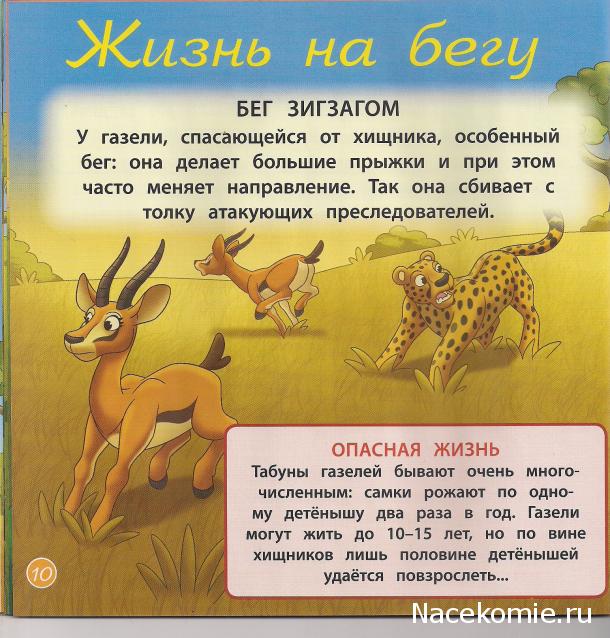 Животные Дикой Природы №8 - Самка Газели Зази и Детеныш Носорога Рики