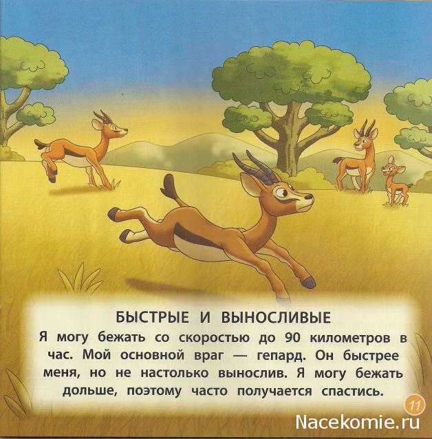 Животные Дикой Природы №8 - Самка Газели Зази и Детеныш Носорога Рики