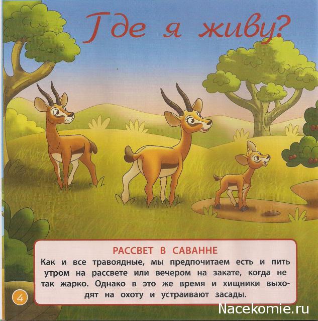 Животные Дикой Природы №8 - Самка Газели Зази и Детеныш Носорога Рики