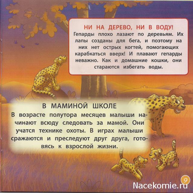 Животные Дикой Природы №9 - Гепард Гарри и Детеныш Грифа