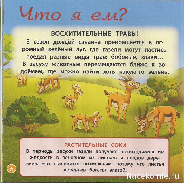 Животные Дикой Природы №8 - Самка Газели Зази и Детеныш Носорога Рики