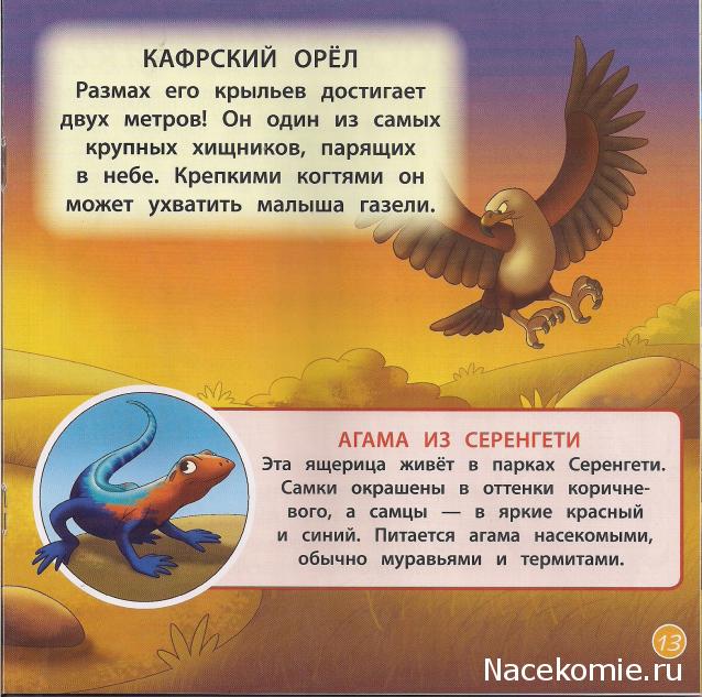 Животные Дикой Природы №8 - Самка Газели Зази и Детеныш Носорога Рики