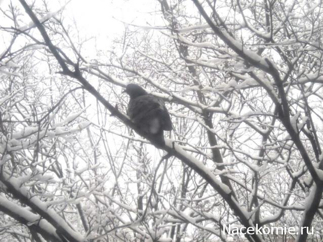 Болталка АЛ и АНС