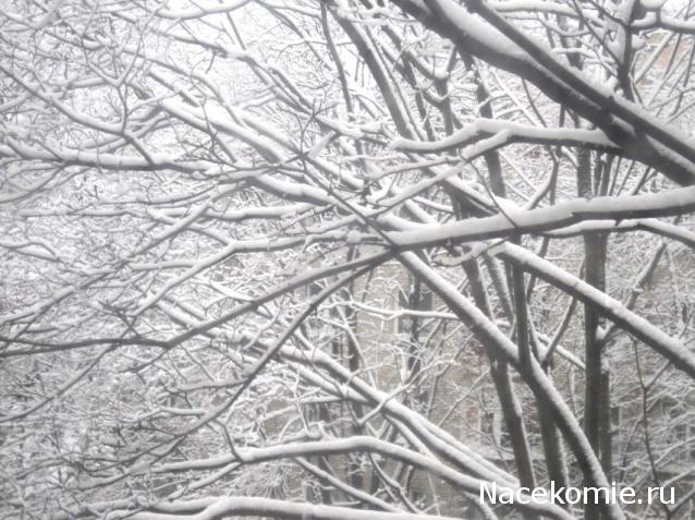 Болталка АЛ и АНС