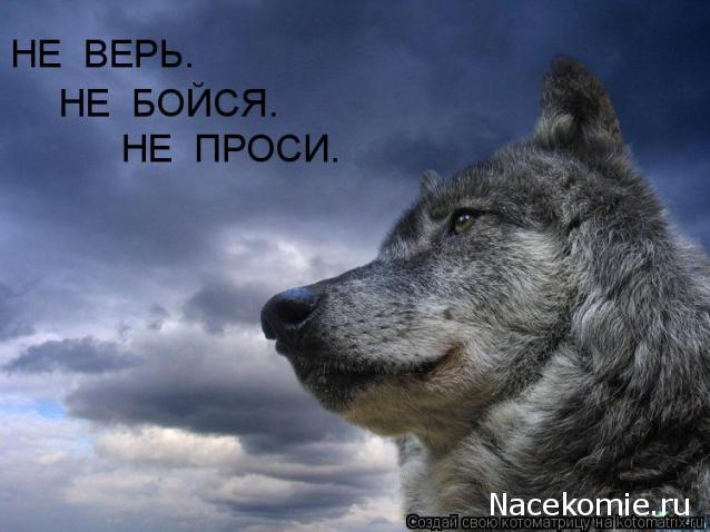 Наполеоновские Войны - Новая флудилка