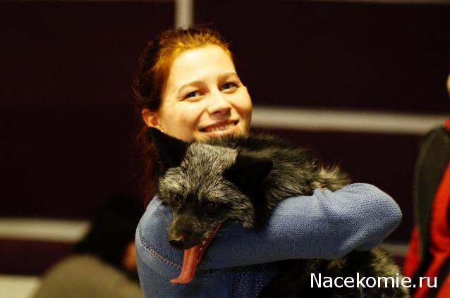 Мой любимый город или дорогие сердцу места