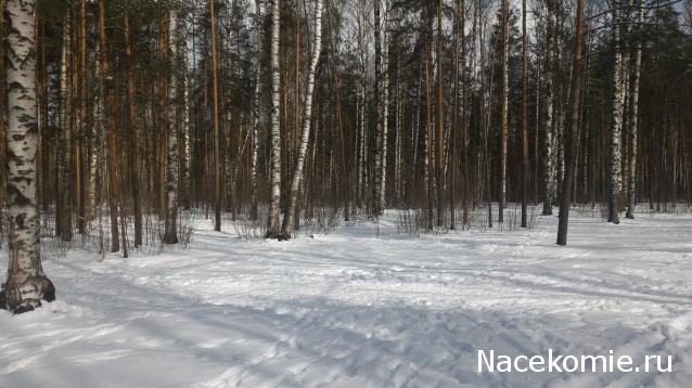 Мой любимый город или дорогие сердцу места