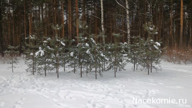 Мой любимый город или дорогие сердцу места