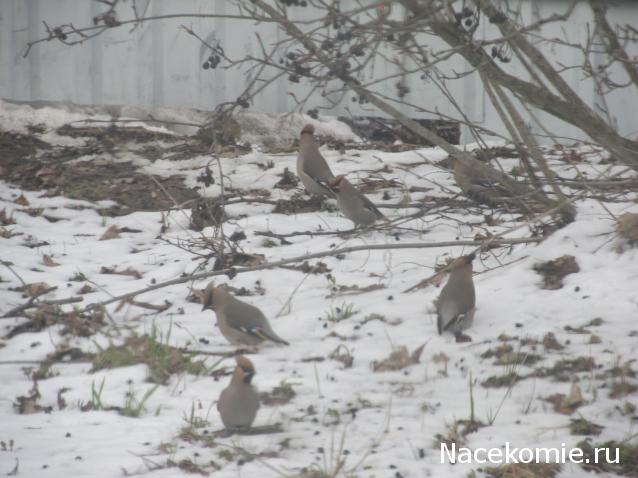 Мой любимый город или дорогие сердцу места