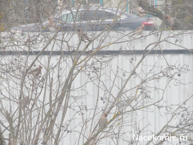 Мой любимый город или дорогие сердцу места