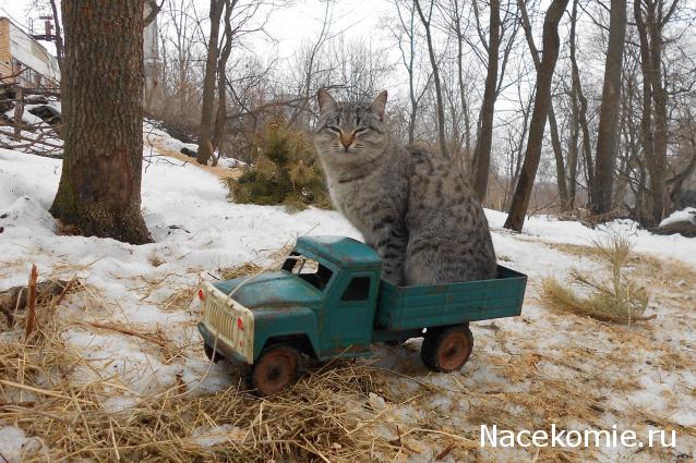 Тракторная болталка