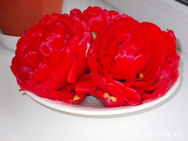 Куклы в народных костюмах – "Девчушки-болтушки"