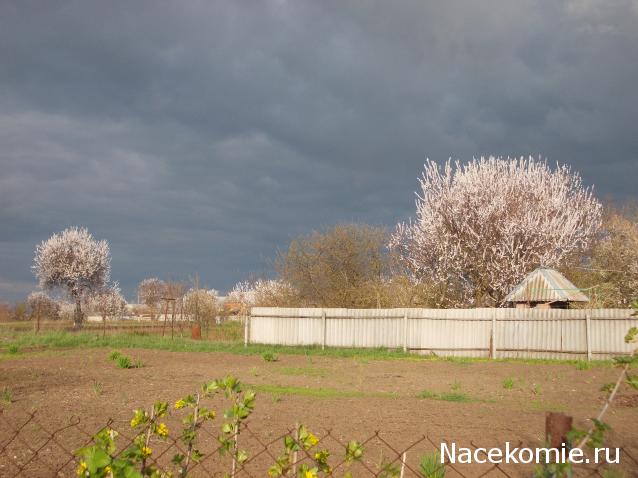 Куклы в народных костюмах – "Девчушки-болтушки"
