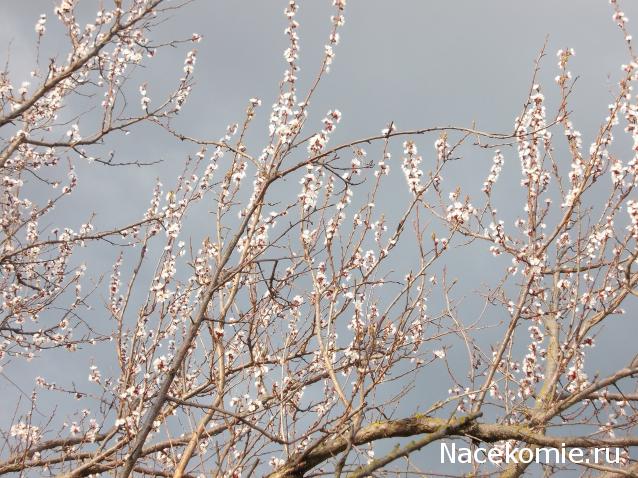 Куклы в народных костюмах – "Девчушки-болтушки"