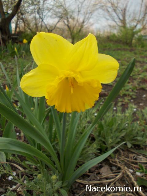 Куклы в народных костюмах – "Девчушки-болтушки"