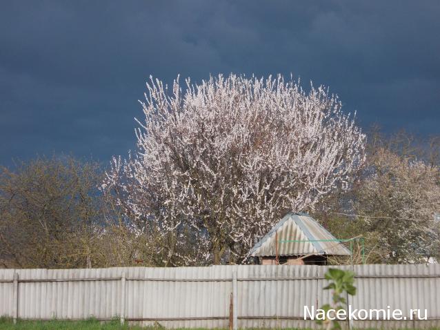 Куклы в народных костюмах – "Девчушки-болтушки"