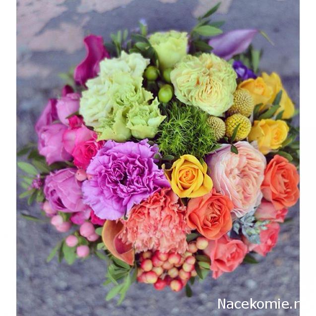 Наши Дни Рождения