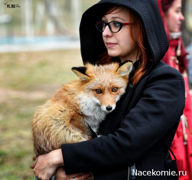 Мой любимый город или дорогие сердцу места